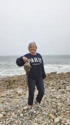 A Day In Montauk, NY