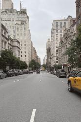 NYC NEWNESS