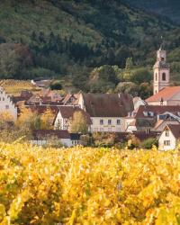 Slow Travel in France: Scenic Routes & Serene Stays
