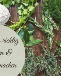 Kräuter haltbar machen: Die ultimative Anleitung zum Kräuter trocknen