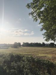 Bibeln, ett badkar i trädgården och vår brevlåda