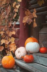 Front Porch Glow-Up: Chic Fall Doormats & Porch Décor You’ll Love
