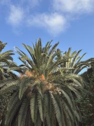 ¡Nicht viel passiert! – Valencia Diary