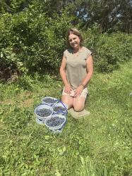 Vegetable Garden Harvest and Landscaping Project Update