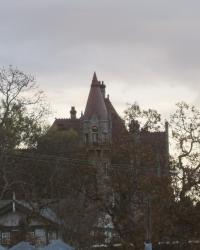 Bonus Friday Blues - and Some Kitten Pictures