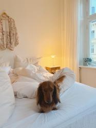 Helgen när jag målade om och Stockholmshösten