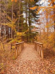 Hypothyroidism & Sibo – A New Health Update