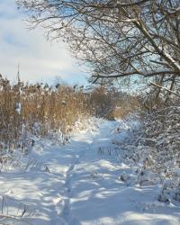 Herbstfreuden, Schneespaß & Lesetipps: Mein Monatsrückblick für November