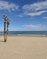 Time flies – Valencia Diary