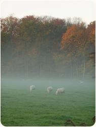 More Bruges wanderings and a fairy-tale castle