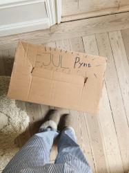 Årets julgran med polkagrisar och stjärnor