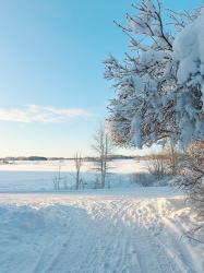 Bilkraschen och nyårslöftena