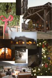 THANKSGIVING AT CATALOOCHEE RANCH | MAGGIE VALLEY, NC