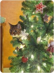 Wearing, reading and charity shopping