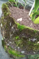 Hindu Pura in Bali, Indonesia