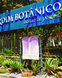 Rio De Janeiro cz. V - JARDIM BOTANICO