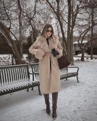 The fluffier – the better