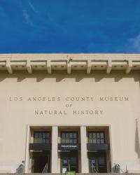 Lions and Tigers and Bears Oh My at the Natural History Museum