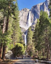 Top National Parks to Propose In