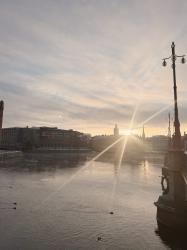 Ögonblick från februaridagarna, en ny frisyr och vårskor