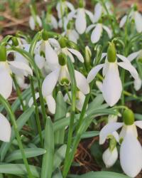 Wenn der Winter einfach nicht enden will…