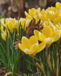 Ciao Winter! Mein Monatsrückblick für den Februar