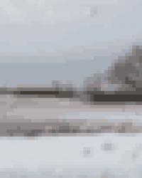 När vi kom till huset och allt vi såg