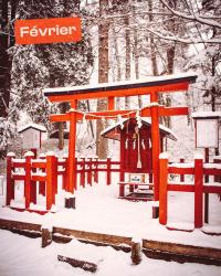 Quelle est la meilleure période pour partir au Japon ?