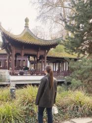 El jardín chino de Fráncfort: un oasis oriental en el corazón de la ciudad