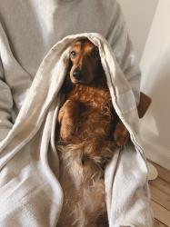 Tillbaka på Beyond Retro, Genevieves klänning och annat från veckan