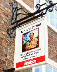 Yorkshire cz.II - Odwiedzam Dom JAMESA HERRIOTA