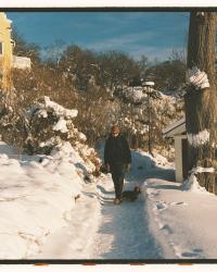 Vinterns analoga bilder