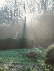 Sjuk och längtansfull