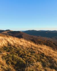 w górach: Połonina Wetlińska i Smerek