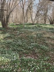 Vårlov - här och nu