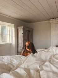 Påskdagen: middag på Sibbjäns och gårdsauktion