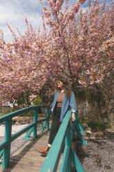 Monet Garden
