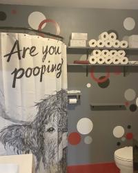 Are You Pooping? Bathroom Makeover & Spread The Kindness Link Up On the Edge #809