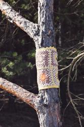 Yarn bombing trees 
