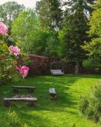 How To Improve Your Garden’s Appearance