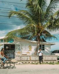 A Guide to Caribbean Dishes Worth Trying in Jamaica