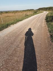 En Gotlandshelg med trädgårdsfix, badrumsglimt och vila