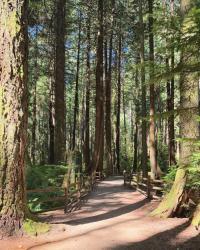 Monday Musings – Wise Women Era, and What Comes Next