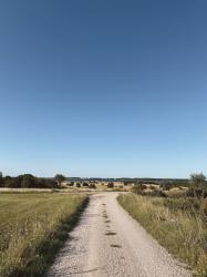 Två Gotlandsdagar, en galaklänning och gyllene gräs