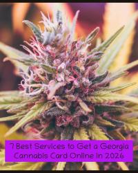 7 Best Services to Get a Georgia Cannabis Card Online in 2026