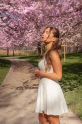 Ma robe blanche dos nu, sous les cerisiers en fleurs