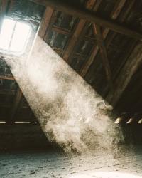 5 Attic Problems Houston Homeowners Often Miss