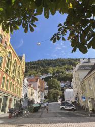 HIGHLIGHTS OF OUR SCANDINAVIAN TOUR:  BERGEN, NORWAY DAY 4 (Last day of the tour)