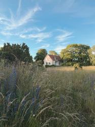 Gotlandssommarens highligts