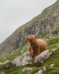 When Is the Best Time to Visit Scotland?